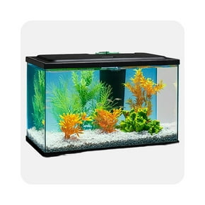 Fish tank, bowls & more