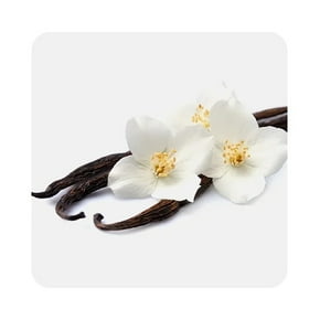 Vanilla