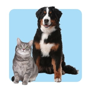 Pet must-haves