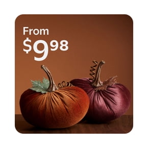 Shop fall decor starting at $9.98