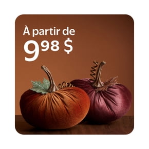 Décor automnal à partir de 9,98 $