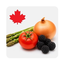 Produits frais canadiens