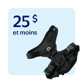 Colliers, laisses et harnais pour chiens