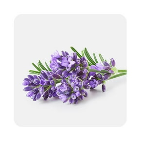 Produits à base de lavande
