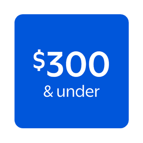 Shop items priced $300 and under