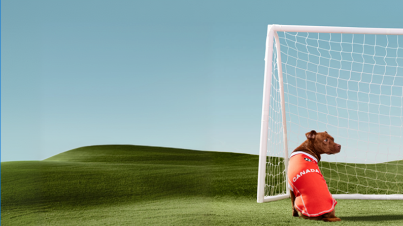 Soccer jerseys, toys & more