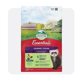 Shop ferret food essentials