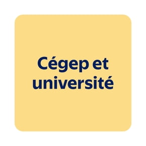 Magasinez pour cégep et université
