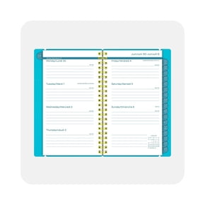 Shop weekly planner organizers
