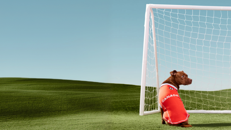 Soccer jerseys, toys & more