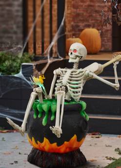 Spooky skeletons