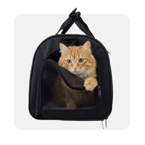Cages de transport pour chats