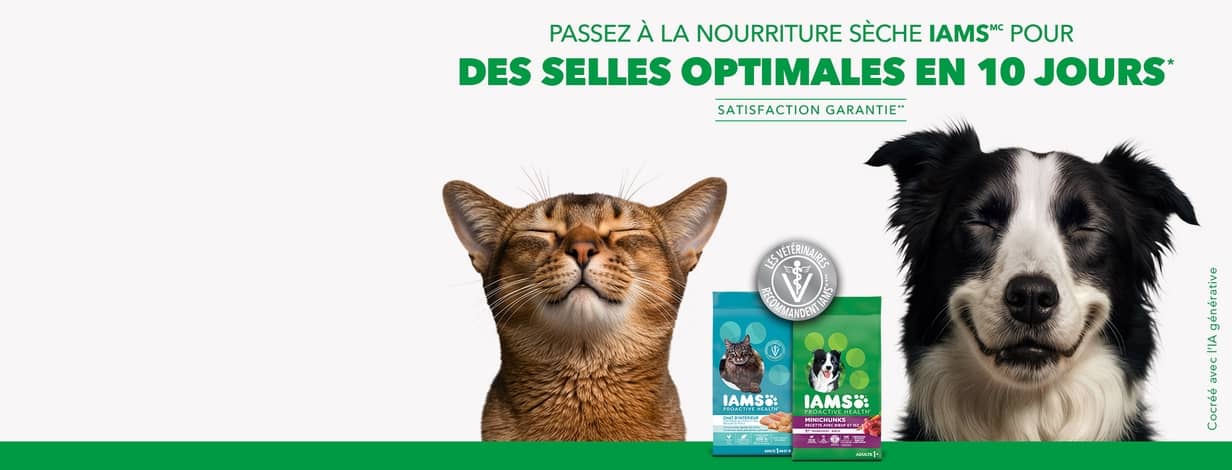 Passez à la nourriture sèche IAMS pour des selles optimales en 10 jours*. Satisfaction garantie**. Les vétérinaires recommandent IAMS***.