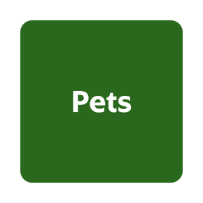 Gifts for pets