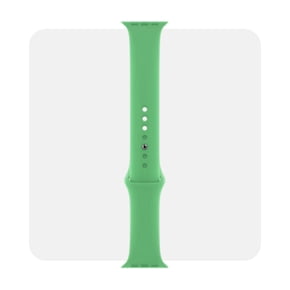 Smart watch accessories