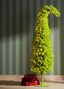 Arbres pleins de caractère