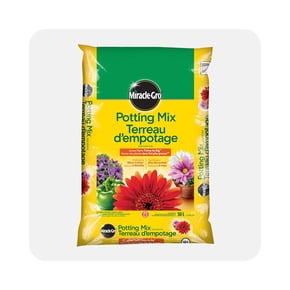 Shop Miracle-Gro potting mix for plants