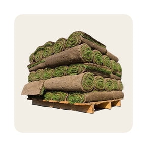 Shop sod rolls for landscaping