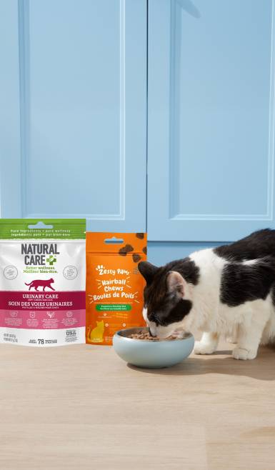 Help cats feel their best