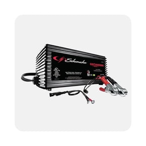 Chargeur de batterie pour véhicule