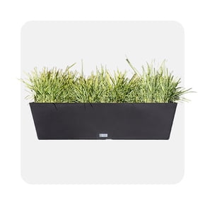 Shop outdoor planter for your garden