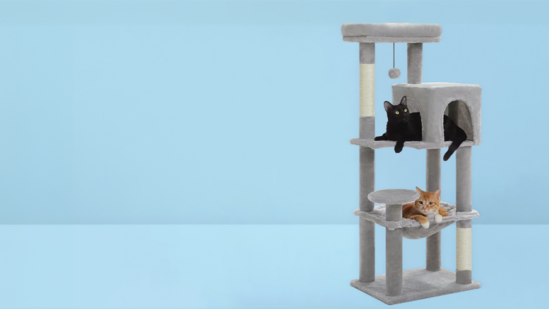 Cat furniture for less