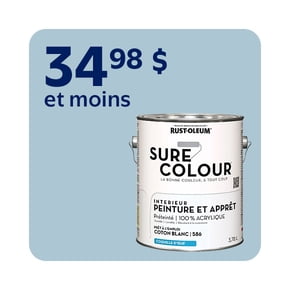Peinture intérieure à partir de 34,98 $