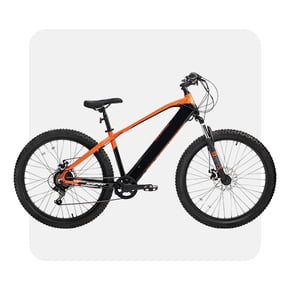 Electric bikes
