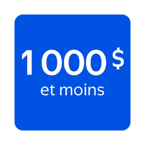Produits à 1000 dollars et moins
