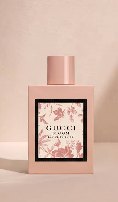 Fragrances of the season