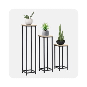 Shop plant stands for home