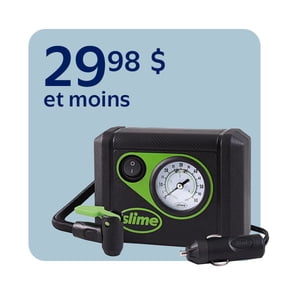 Gonfleurs à partir de 29,98 $