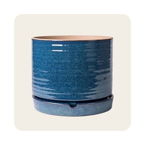 Shop ceramic planter for home