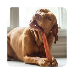 Bully sticks