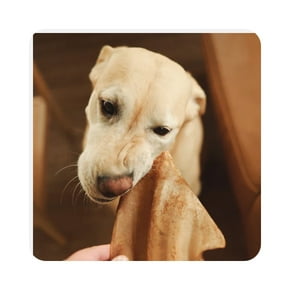 Other chews
