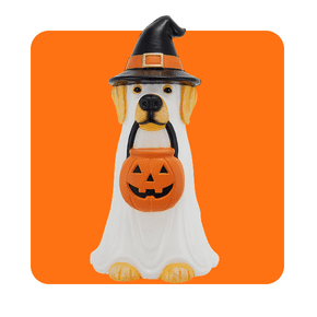 Shop Halloween pet costumes