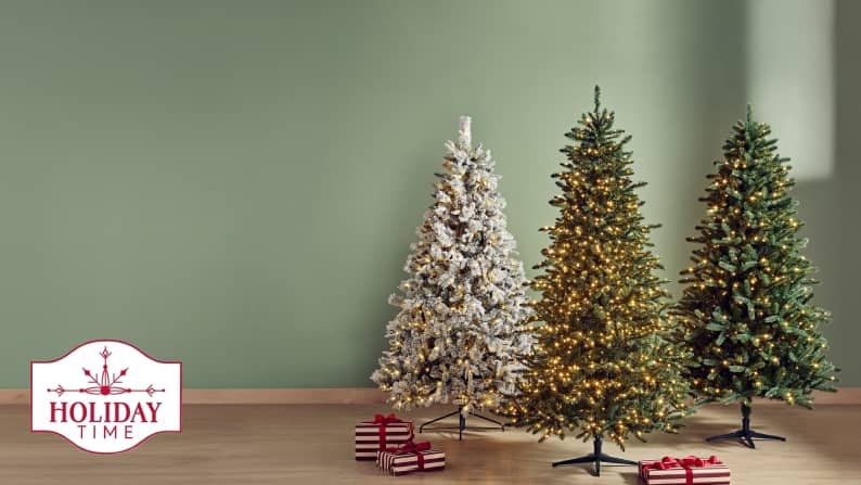 Arbres de Noël