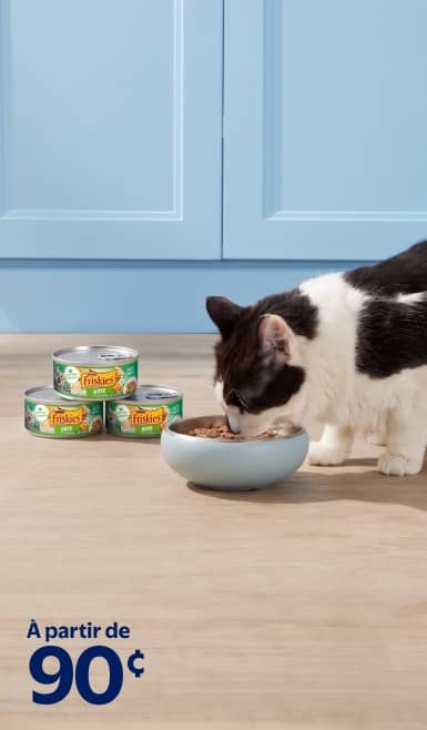 Nourriture humide pour chats