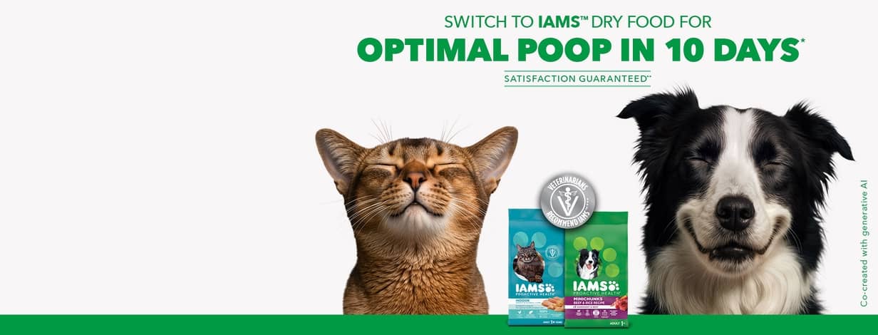 Switch to IAMS dry food for optimal poop in 10 days*. Satisfaction guaranteed**. Veterinarians recommend IAMS***.