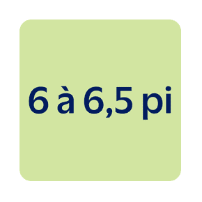 Magasiner articles 6 à 6,5 pieds