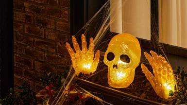 Halloween top picks