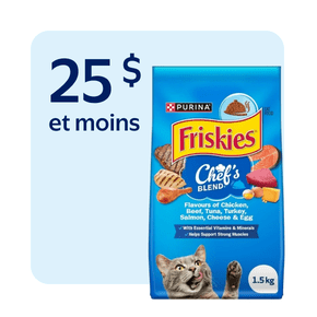 Nourriture sèche pour chats