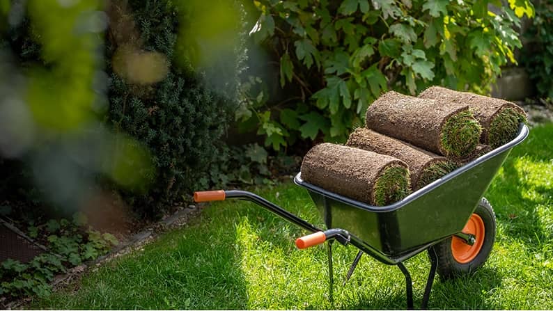 Your yard, upgraded!
