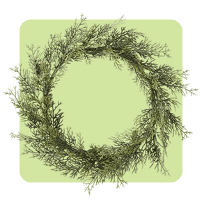Shop wreaths for home decorating