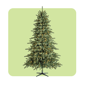 Arbres de Noël