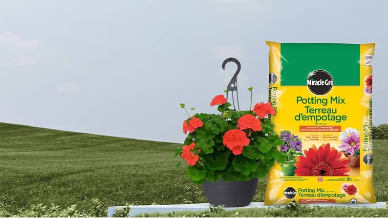 Lawn & garden kickoff