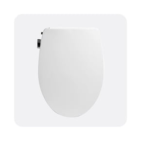 Shop toilet seat with bidet attachment