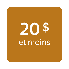 Articles à 20 dollars et moins