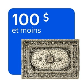 Tapis à partir de 100 $ et moins