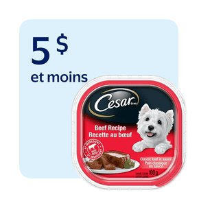Nourriture humide pour chiens